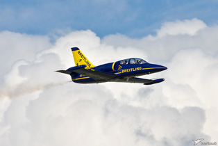 Breitling Jet Team Photo 2