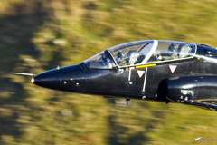 RAF Hawk T1A XX317 19 Sqn close up picture