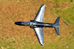 RAF Hawk T1A XX317 19 Sqn low level picture