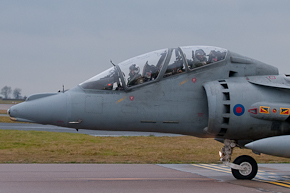 RAF Harrier T12 ZH659 4 Sqn photo 1