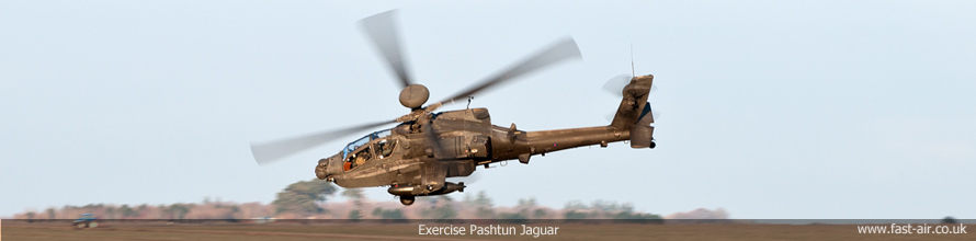 Exercise Pashtun Jaguar - 28th January 2011