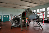 RAF Harrier GR3 XZ131 Photo 1